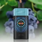 10-Pack IGET One 12000 Puffs – Mixed Flavors | - Image 5